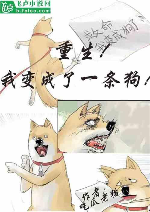 发疯小说吃瓜,揭秘发疯小说背后的疯狂世界