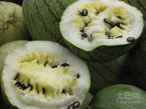 吃籽瓜特效视频