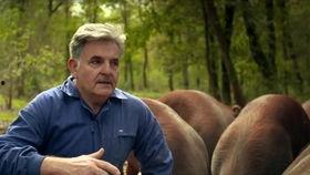 强子妈妈吃瓜,揭秘娱乐圈幕后故事