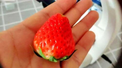 吃颗草莓瓜,甜蜜诱惑，舌尖上的夏日风情