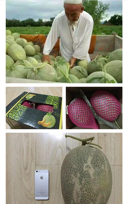 哈密吃哈密瓜下联